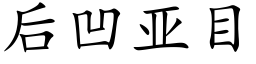 后凹亚目 (楷体矢量字库)