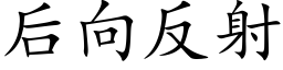 后向反射 (楷体矢量字库)