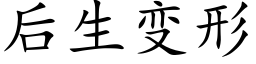 后生变形 (楷体矢量字库)