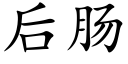 后肠 (楷体矢量字库)