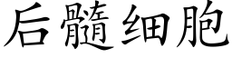 后髓细胞 (楷体矢量字库)