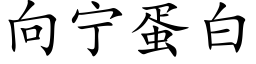 向甯蛋白 (楷體矢量字庫)