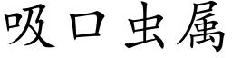 吸口虫属 (楷体矢量字库)