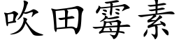 吹田霉素 (楷体矢量字库)