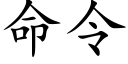 命令 (楷体矢量字库)