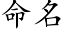 命名 (楷體矢量字庫)