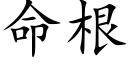 命根 (楷体矢量字库)