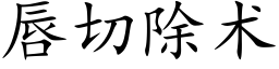 唇切除术 (楷体矢量字库)