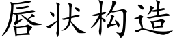 唇状构造 (楷体矢量字库)