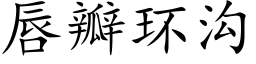 唇瓣環溝 (楷體矢量字庫)