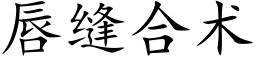 唇縫合術 (楷體矢量字庫)