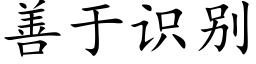 善于識别 (楷體矢量字庫)