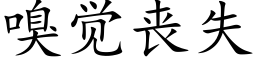 嗅觉丧失 (楷体矢量字库)