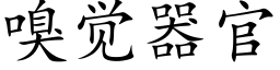 嗅觉器官 (楷体矢量字库)