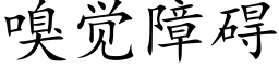 嗅觉障碍 (楷体矢量字库)