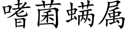 嗜菌螨属 (楷体矢量字库)