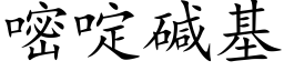 嘧啶堿基 (楷體矢量字庫)