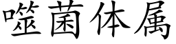 噬菌体属 (楷体矢量字库)