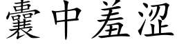 囊中羞澀 (楷體矢量字庫)