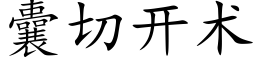 囊切开术 (楷体矢量字库)