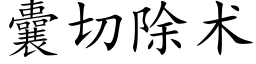 囊切除术 (楷体矢量字库)