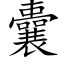 囊 (楷体矢量字库)