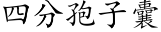 四分孢子囊 (楷體矢量字庫)