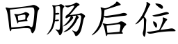 回肠后位 (楷体矢量字库)