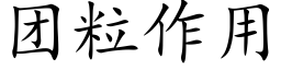 团粒作用 (楷体矢量字库)