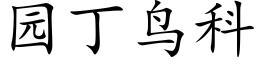 園丁鳥科 (楷體矢量字庫)