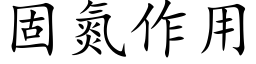 固氮作用 (楷體矢量字庫)