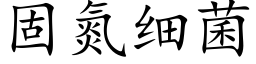 固氮細菌 (楷體矢量字庫)