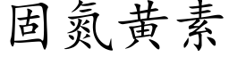 固氮黃素 (楷體矢量字庫)