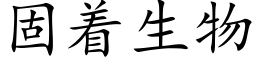 固着生物 (楷體矢量字庫)