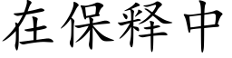 在保釋中 (楷體矢量字庫)