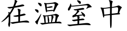 在温室中 (楷体矢量字库)