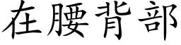 在腰背部 (楷体矢量字库)