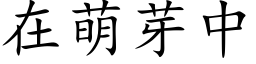 在萌芽中 (楷体矢量字库)