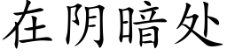 在陰暗處 (楷體矢量字庫)