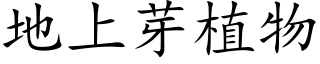 地上芽植物 (楷体矢量字库)