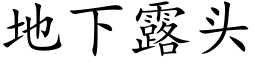 地下露头 (楷体矢量字库)