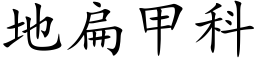 地扁甲科 (楷体矢量字库)