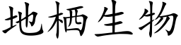 地栖生物 (楷体矢量字库)