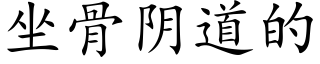 坐骨阴道的 (楷体矢量字库)