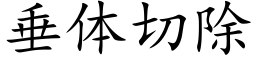 垂体切除 (楷体矢量字库)