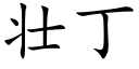 壮丁 (楷体矢量字库)