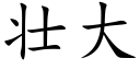 壮大 (楷体矢量字库)