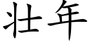 壮年 (楷体矢量字库)