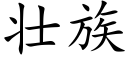 壮族 (楷体矢量字库)