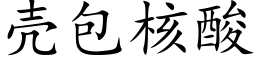 殼包核酸 (楷體矢量字庫)